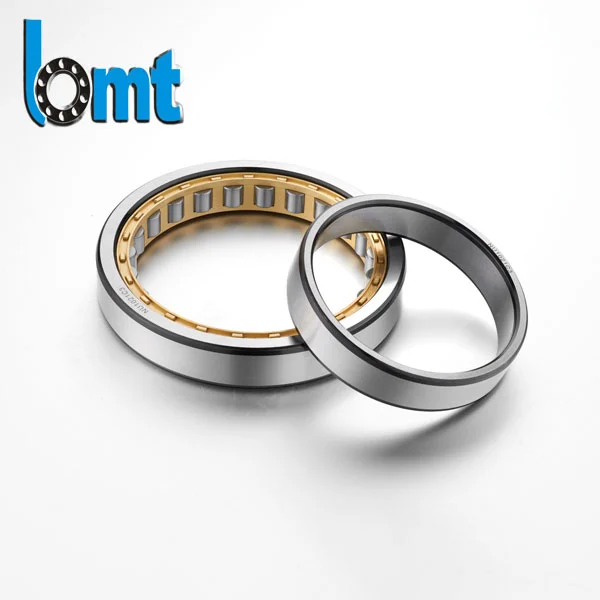 Single Row Cylindrical Roller Bearings