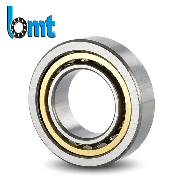 Single Row Cylindrical Roller Bearings without An Inner Ring